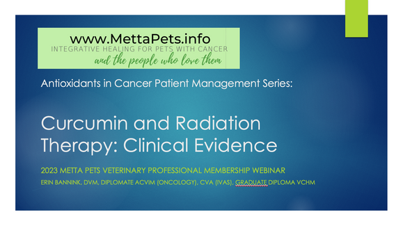 Curcumin and Radiation Therapy